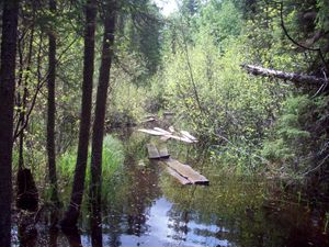 Big Dam Portage