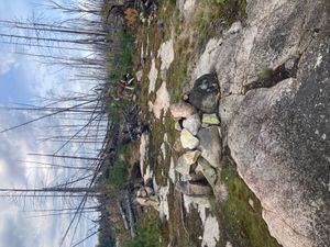 Burned R7 campsite looking west