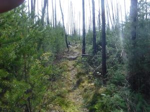 Cleared portage trail to Mexican Hat