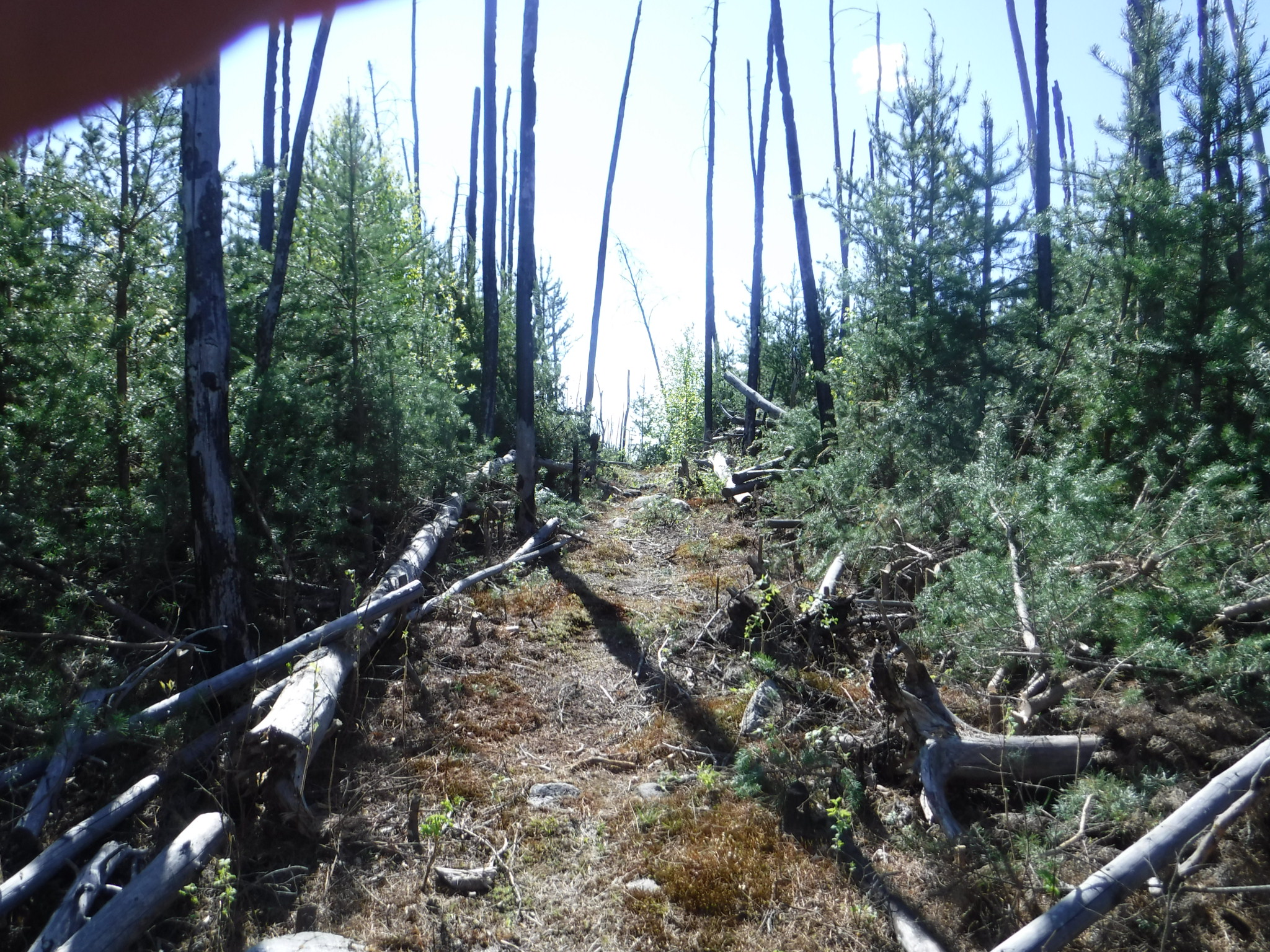Brushed/cleaned out portage trail