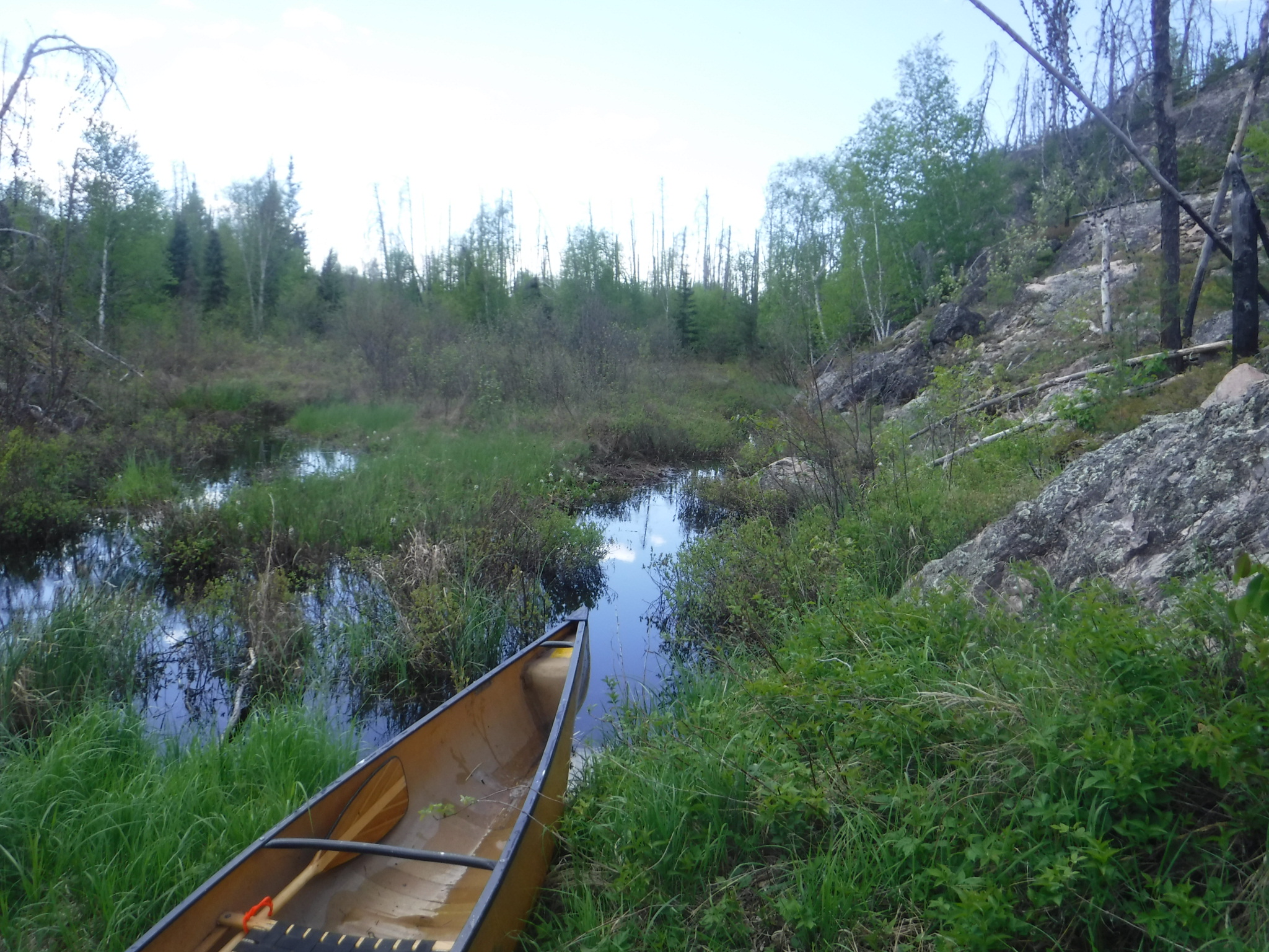 beaver pond in middle of portage looking west