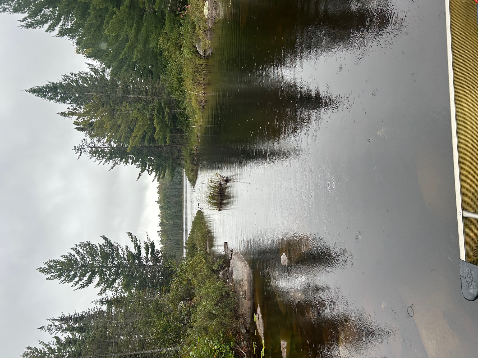 First Look at Birl.jpeg