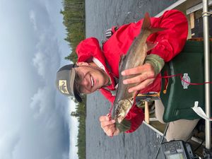 Little Saganaga Trout.jpeg