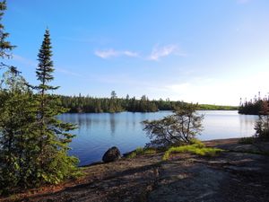 Davis Lake Campsite II