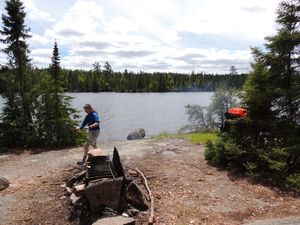 Davis Lake Camp Fire area