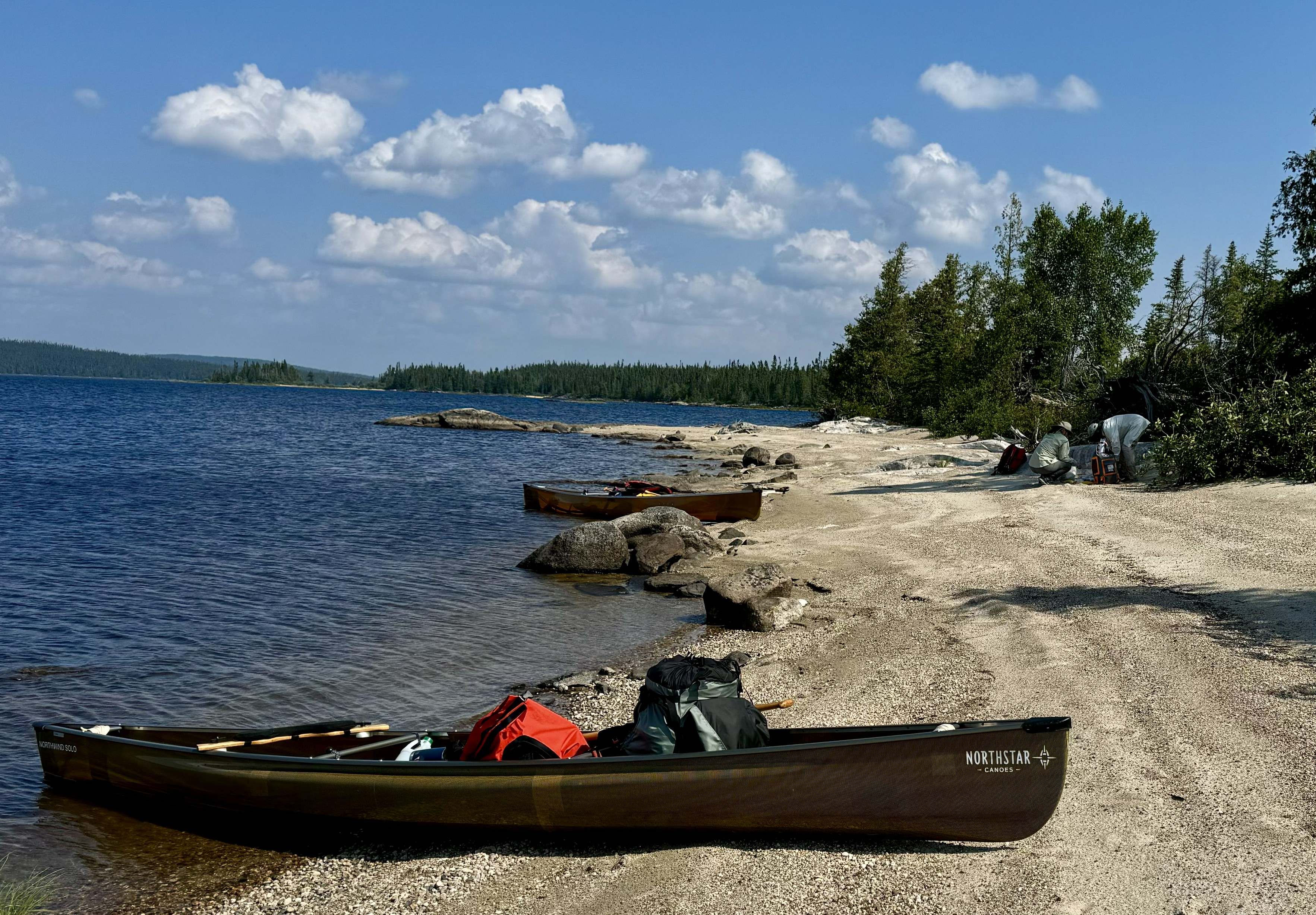 caribou island