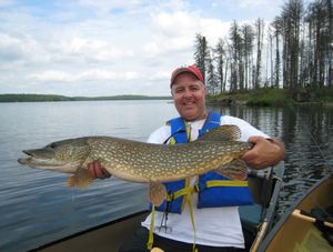 Clearwater pike