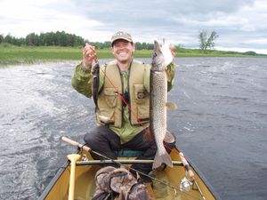 Caught this pike with my bare hands