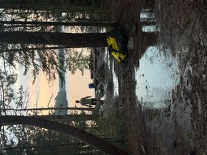 Dore - wet camp after rain