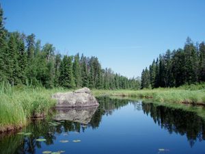 Gull Creek