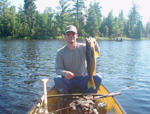 Gull Lake Walleye