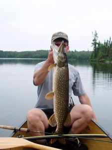Clearwater pike