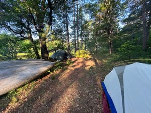 Campsite N5.1