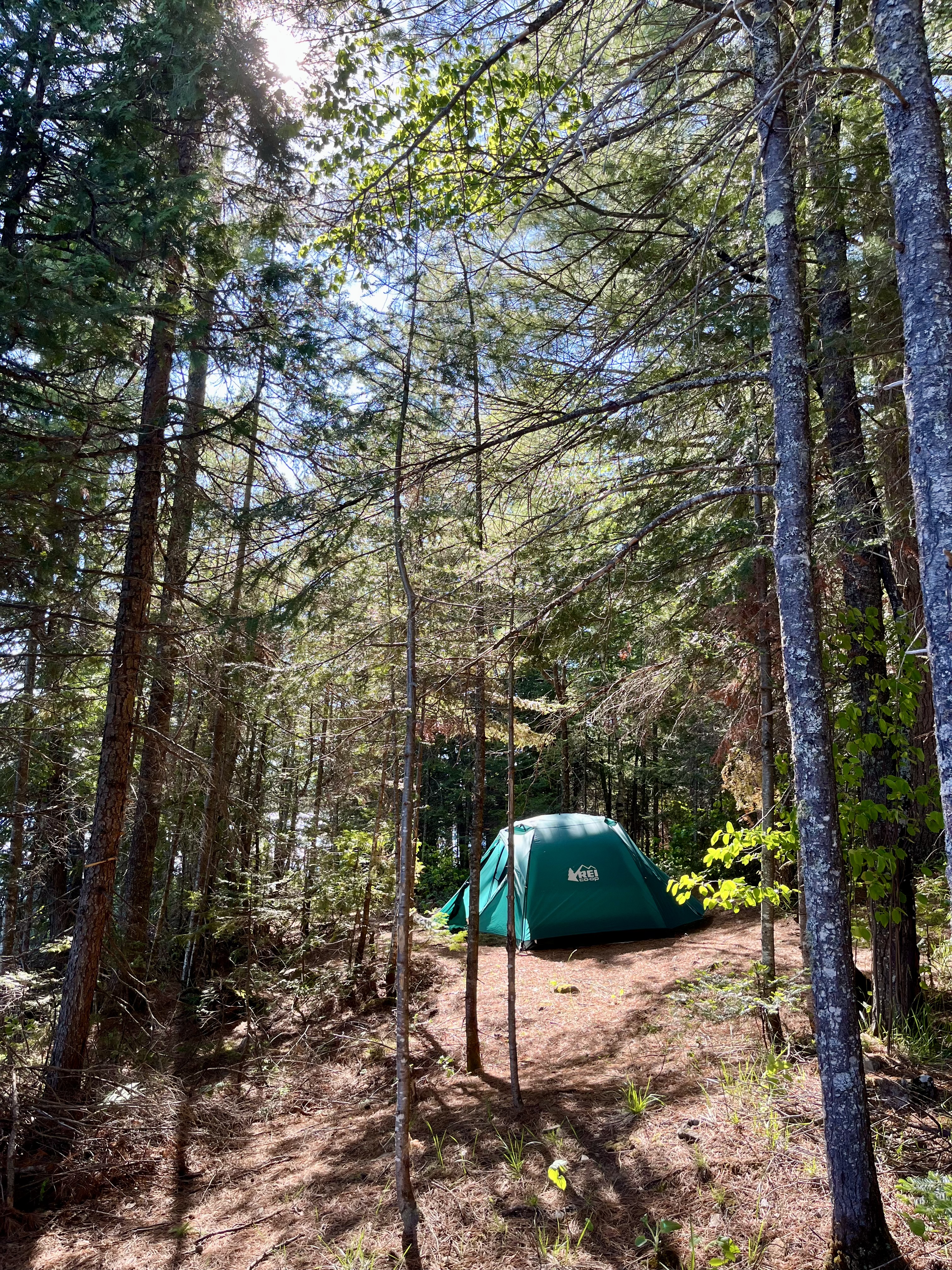 Tent on Pierz