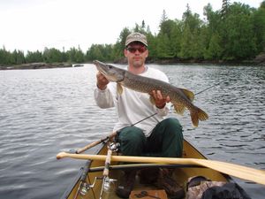 Clearwater pike