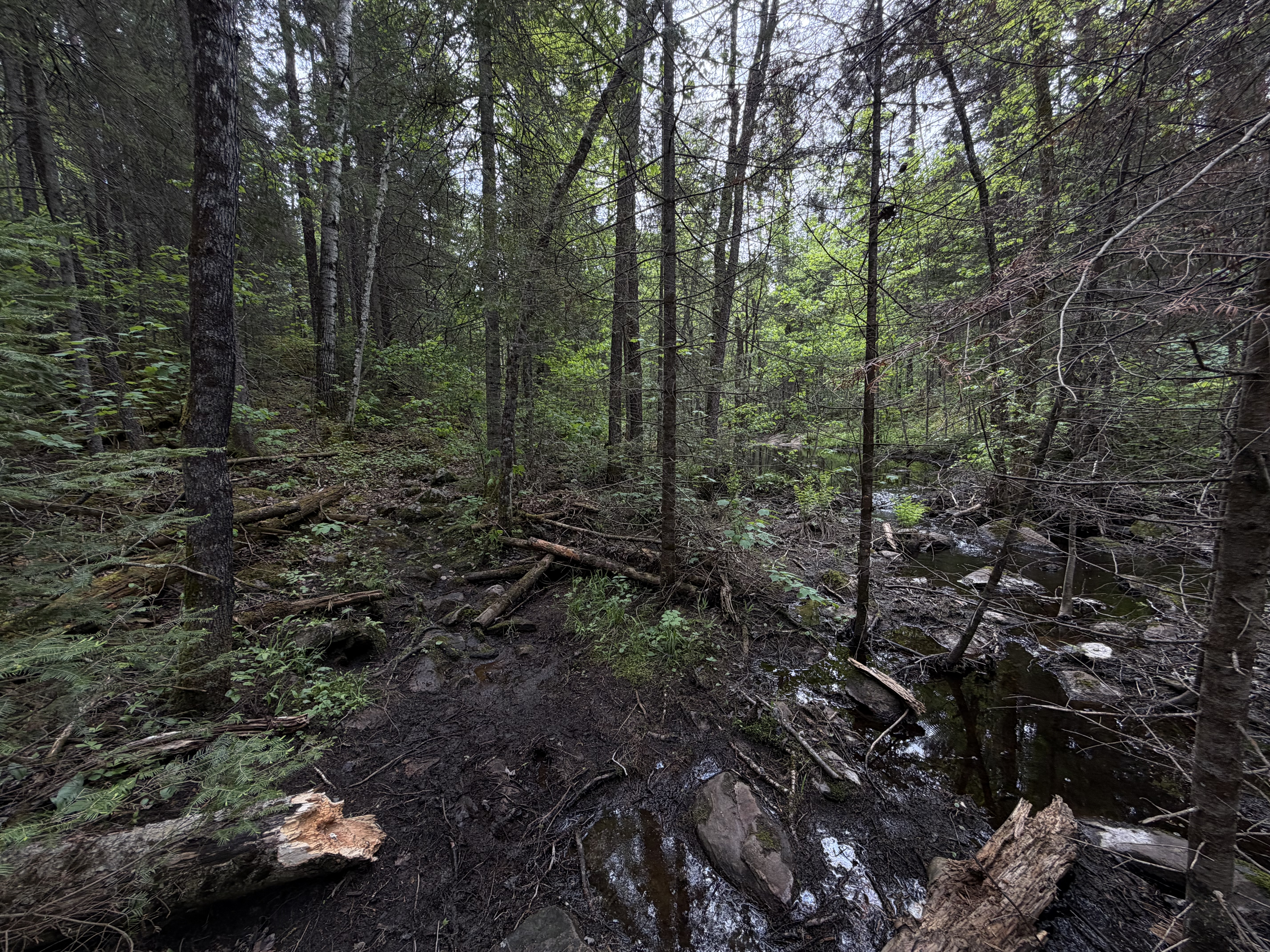 Cutty Creek Portage