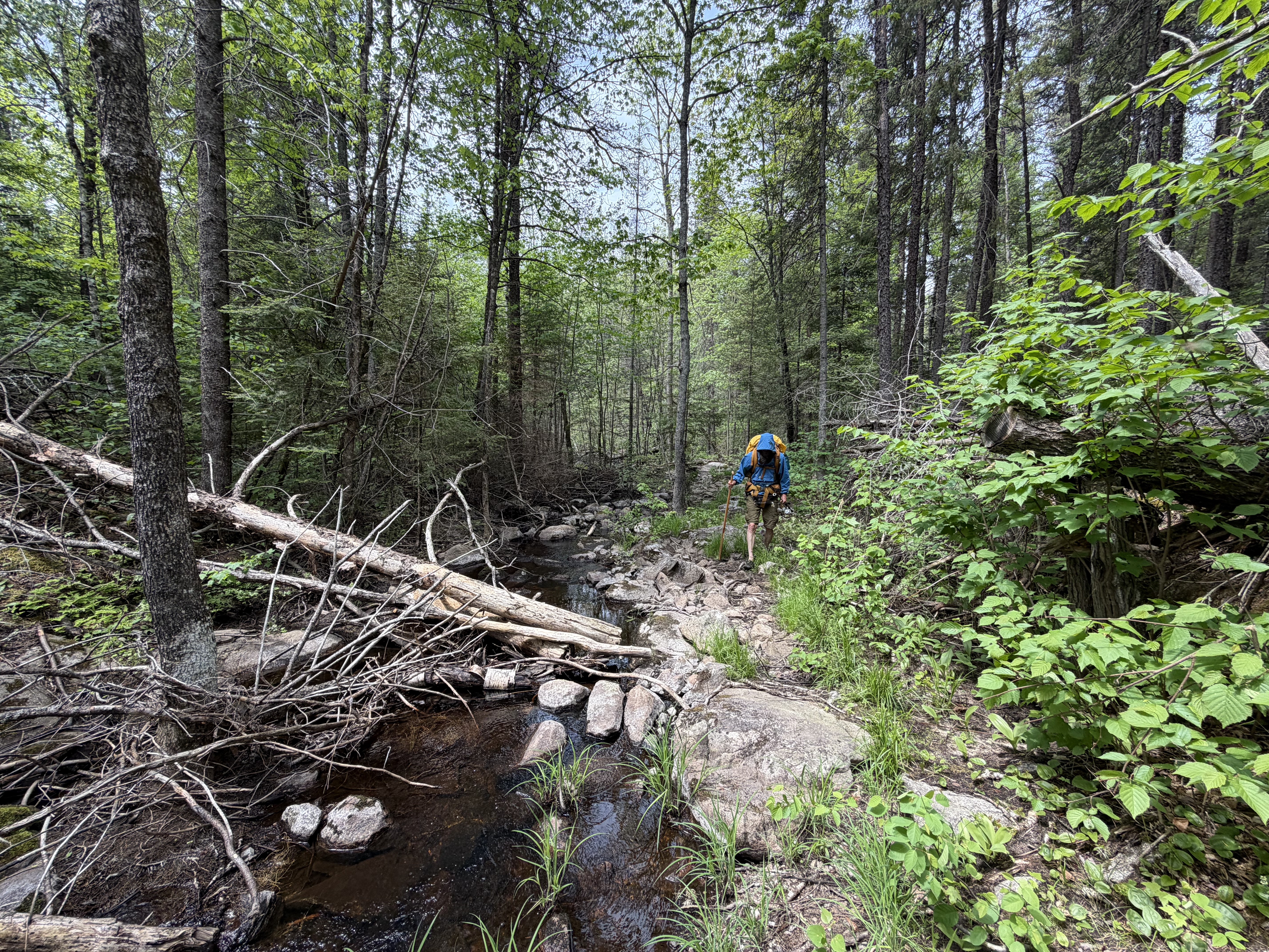 Cutty Creek Portage