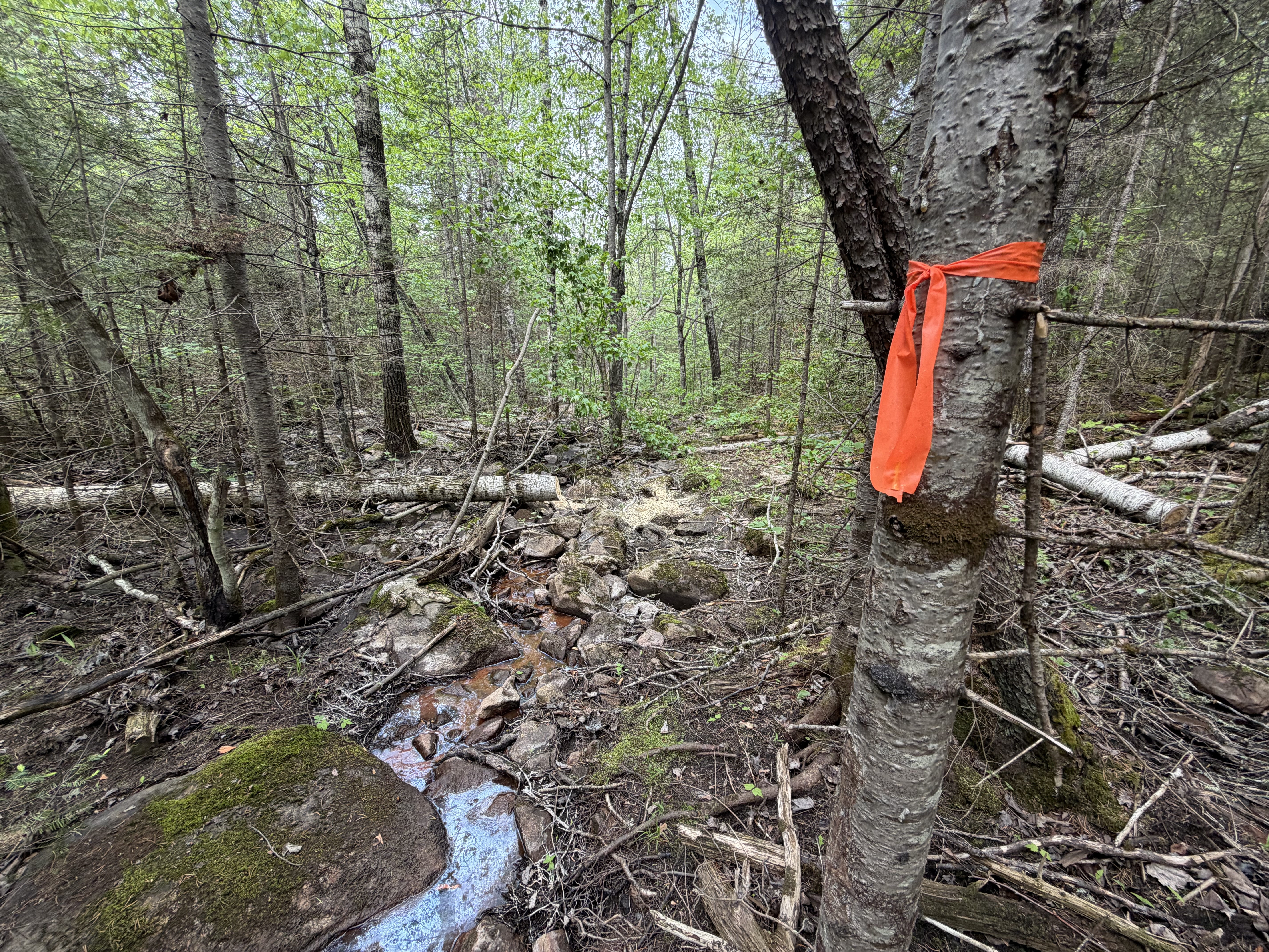 Cutty Creek Portage