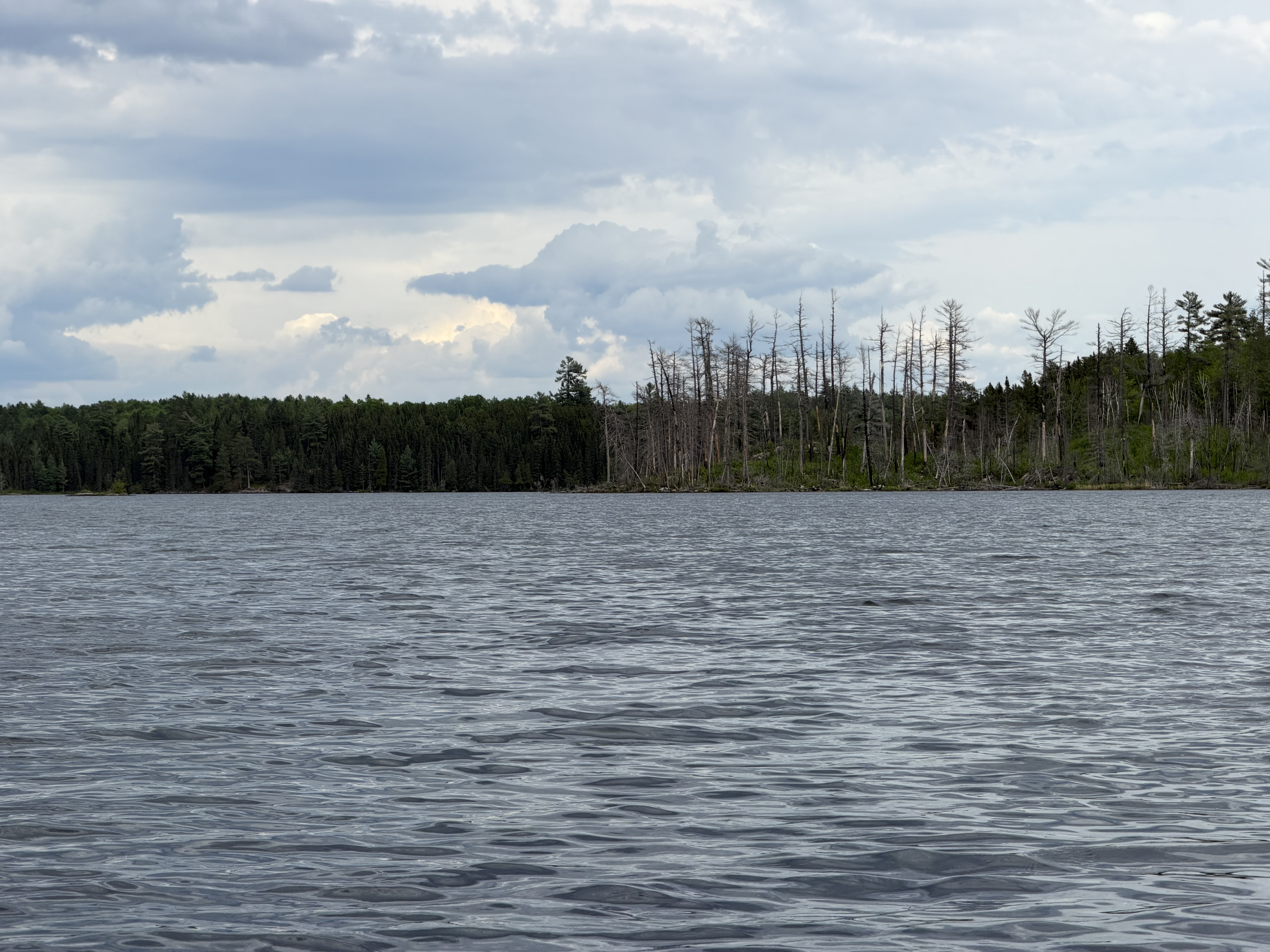 Camel Lake Burn