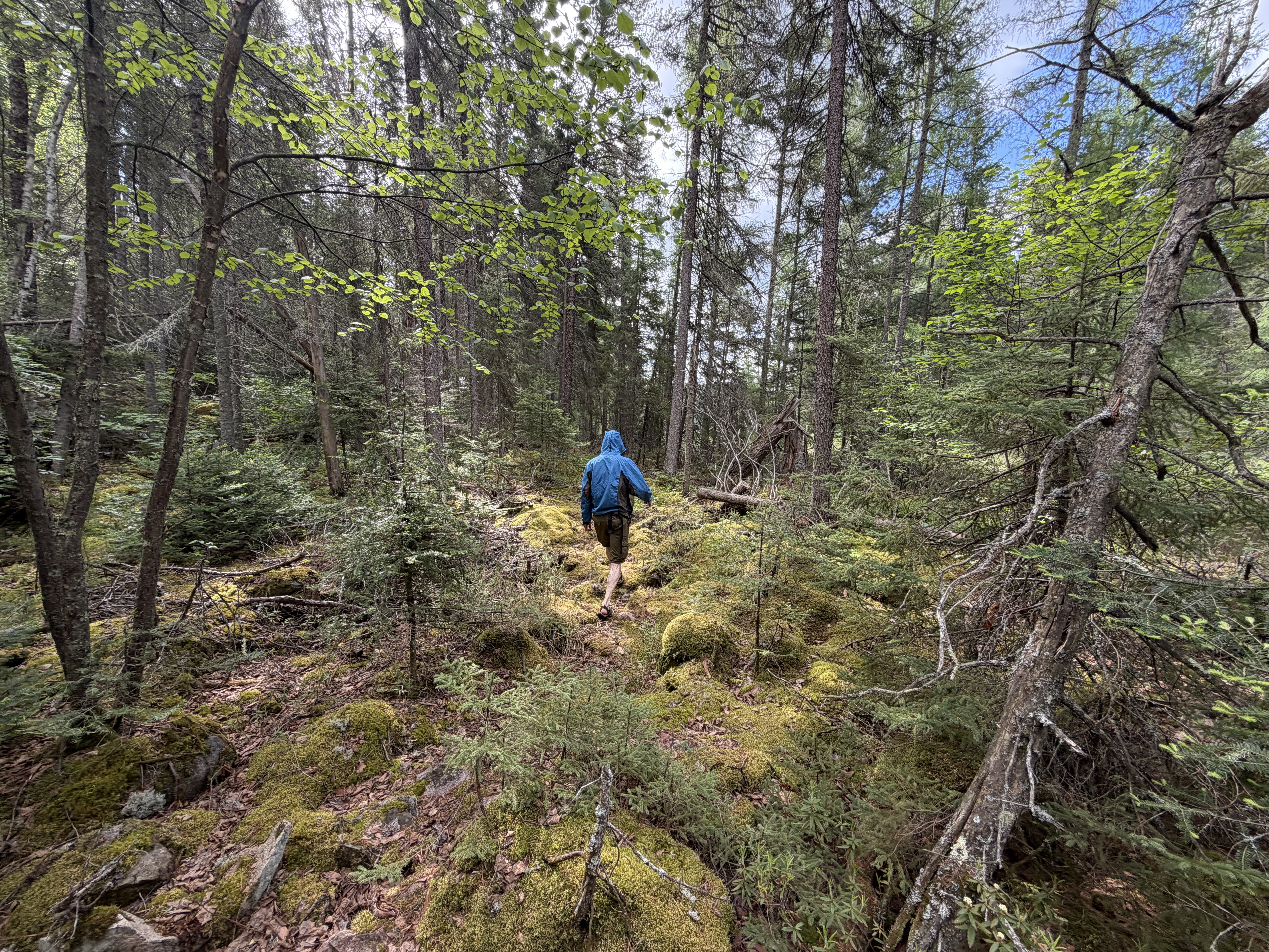 EAG Portage
