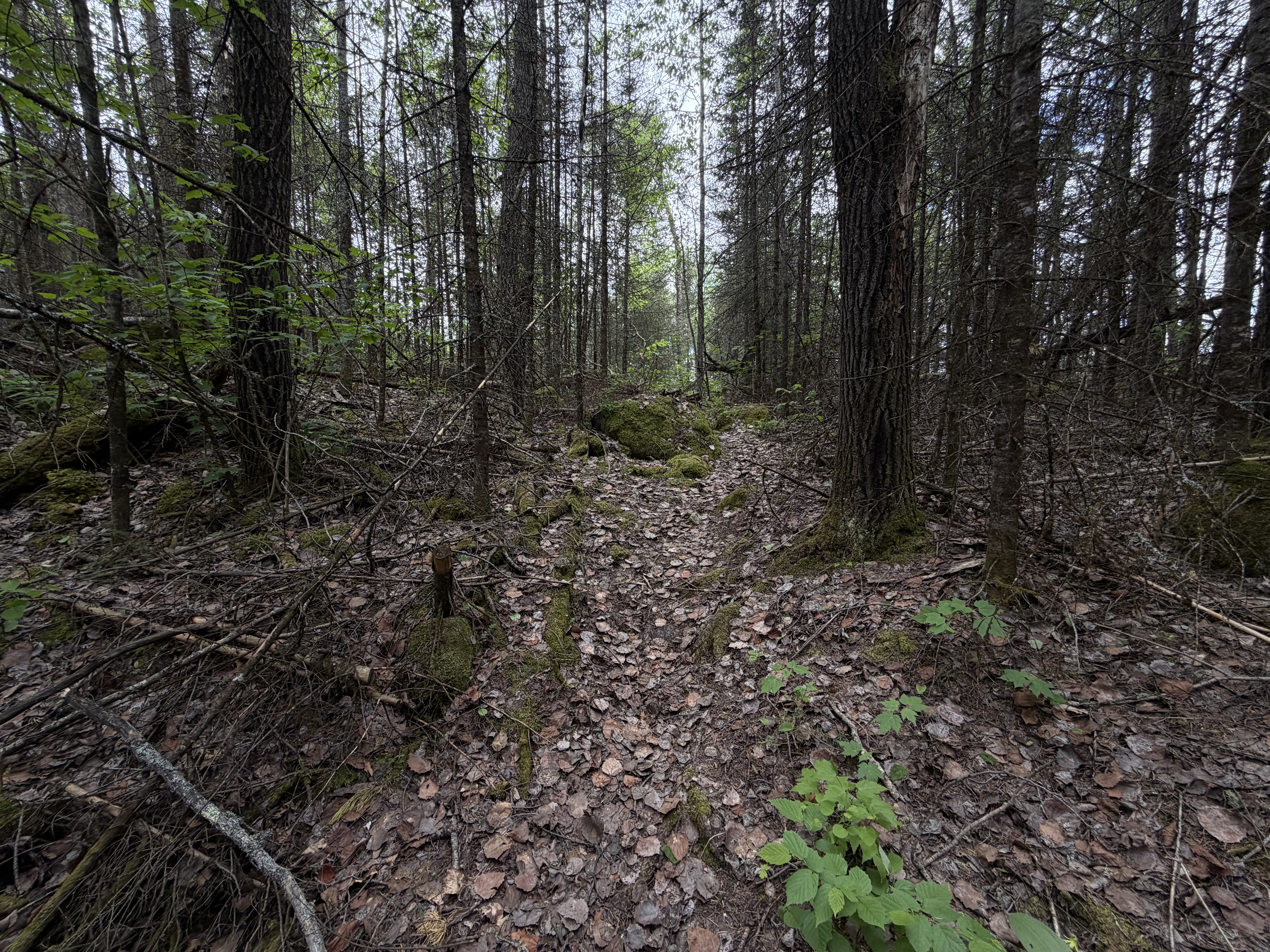 Portage
