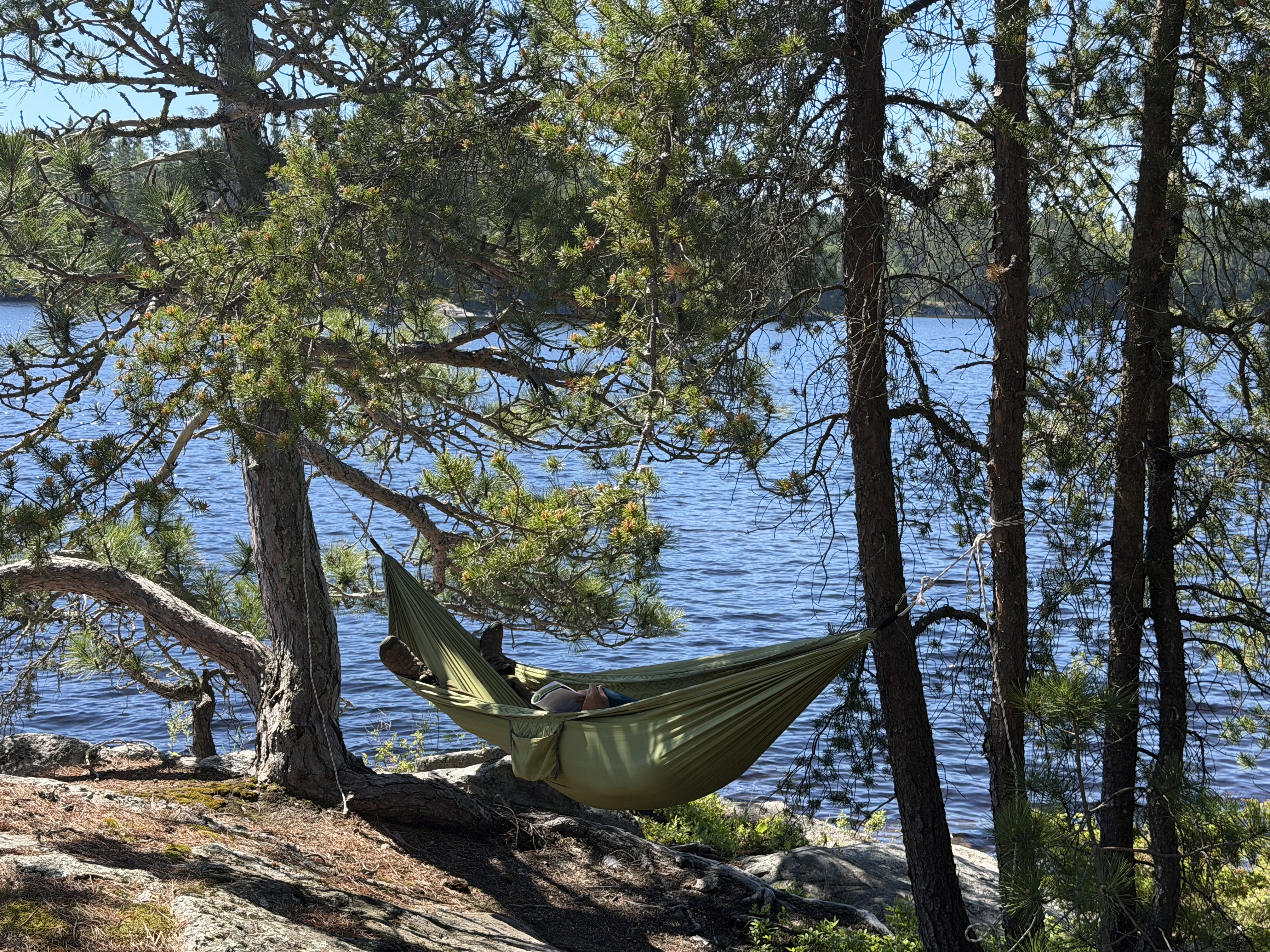Delightful Camp.