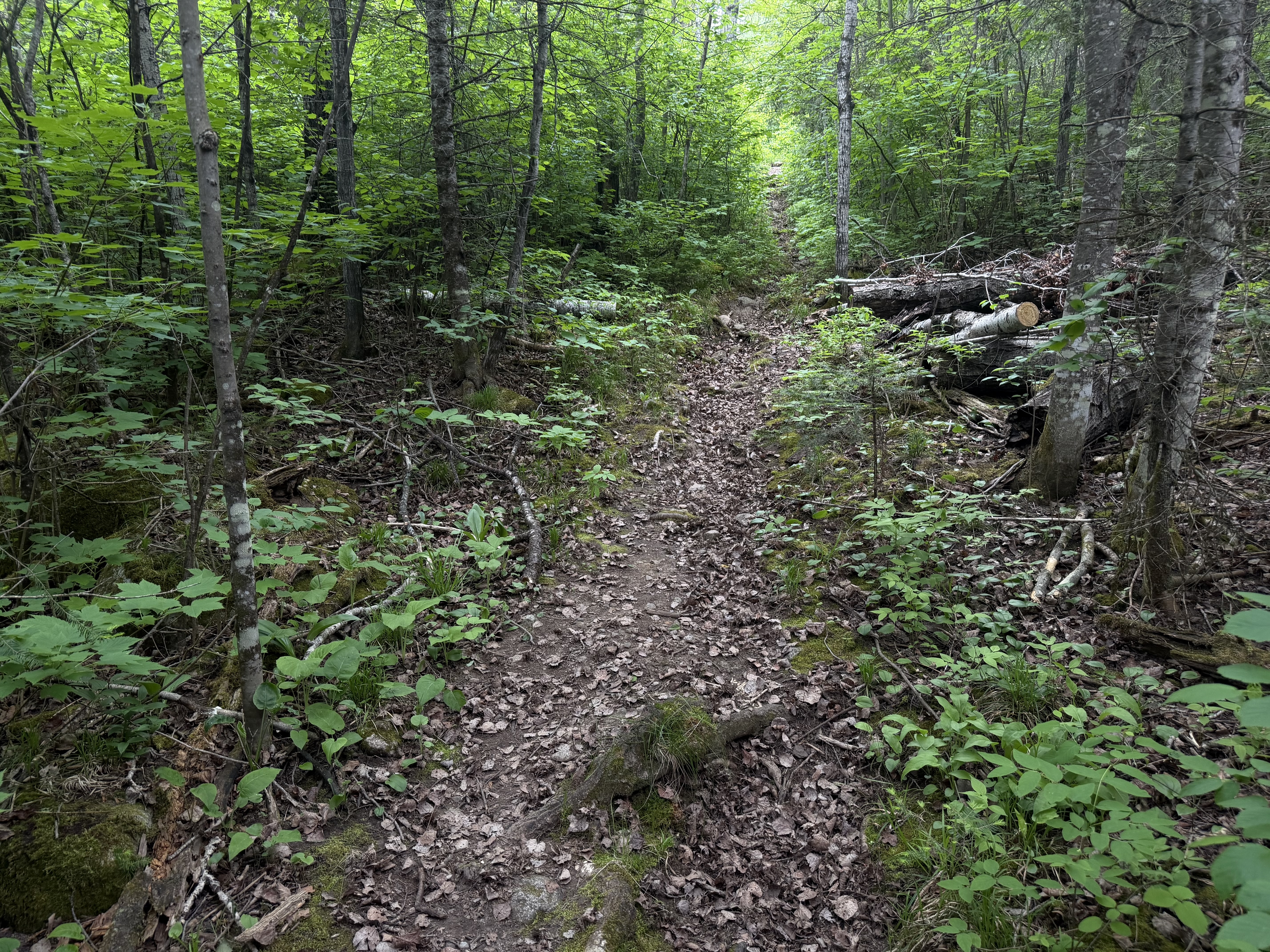 Portage