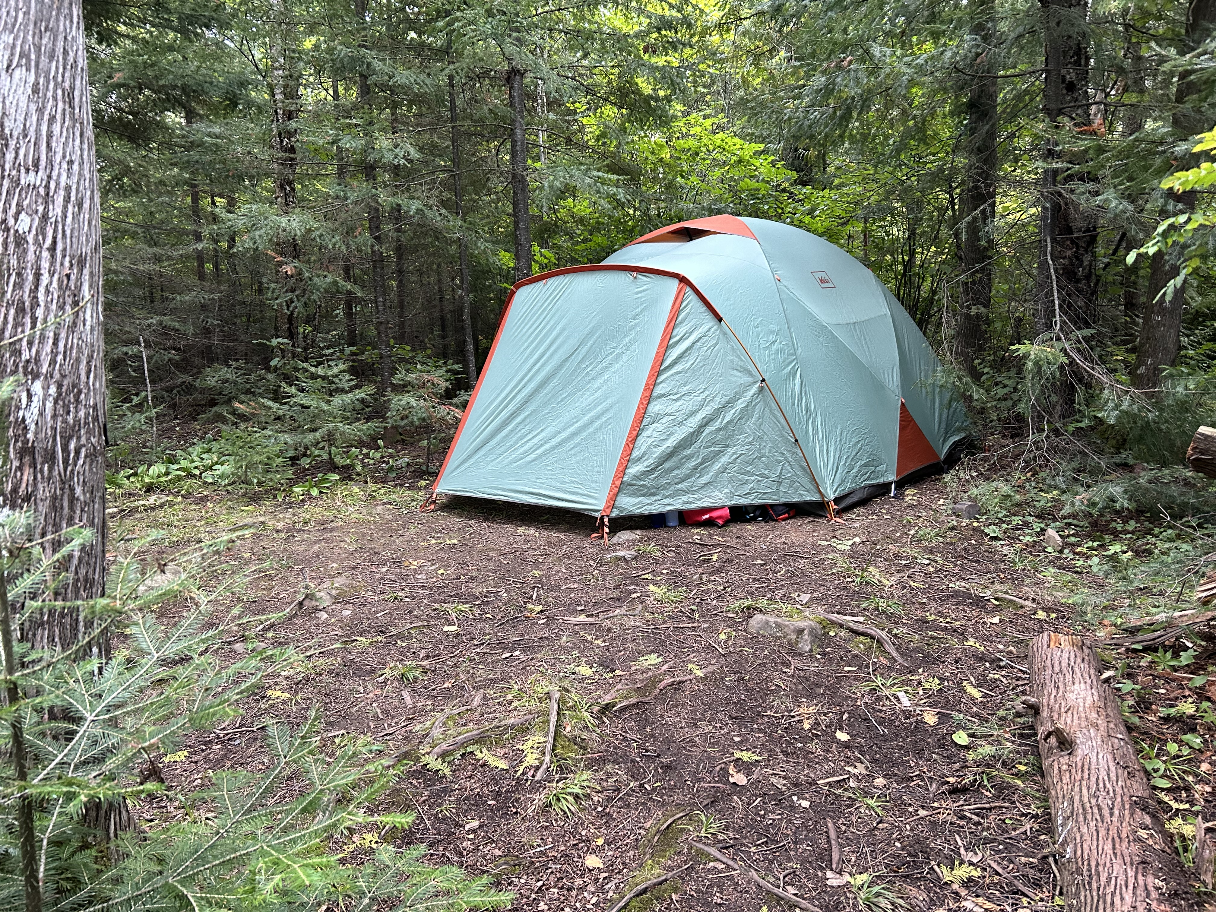 Campsite 607