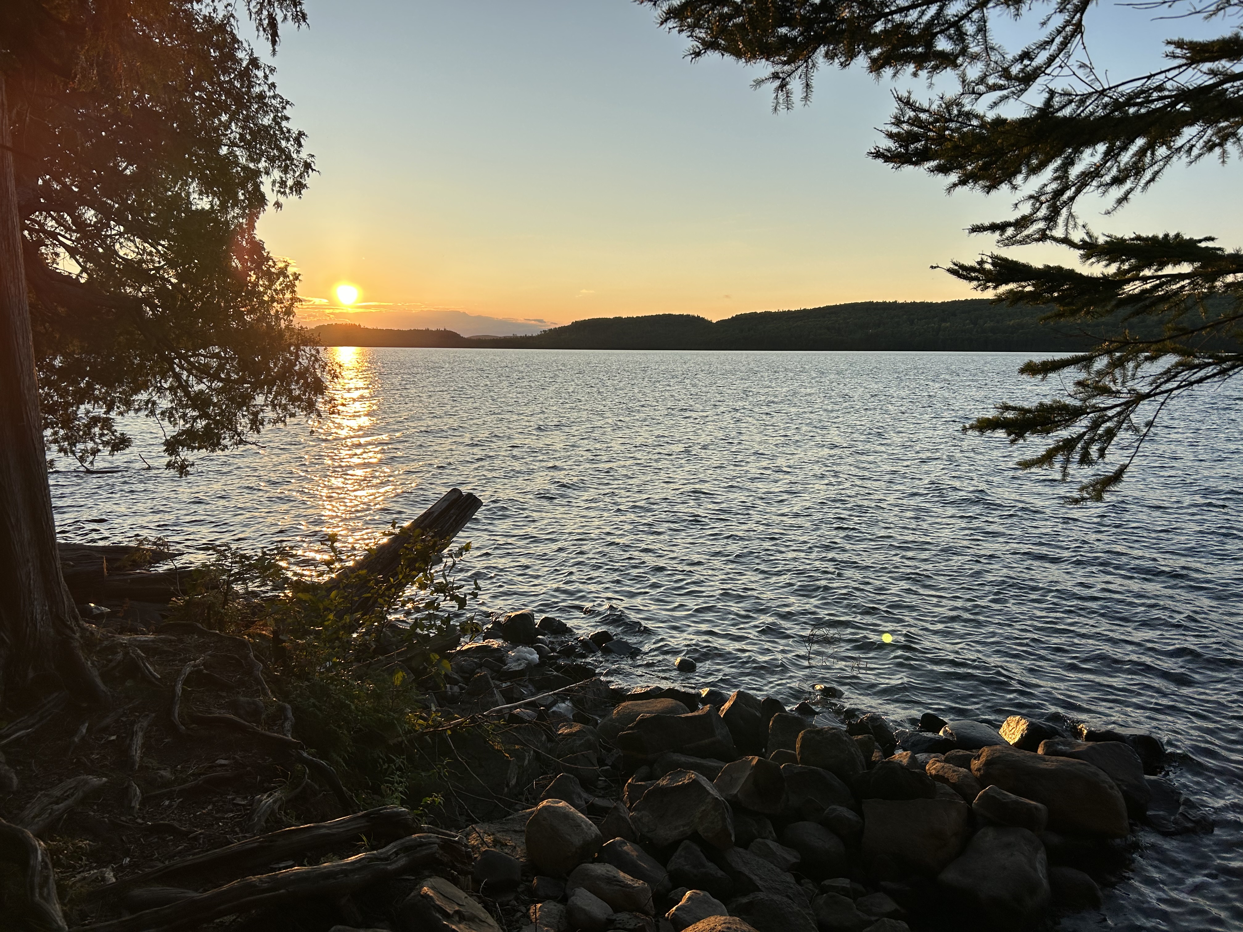 Campsite 607