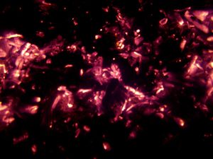 Campfire coals