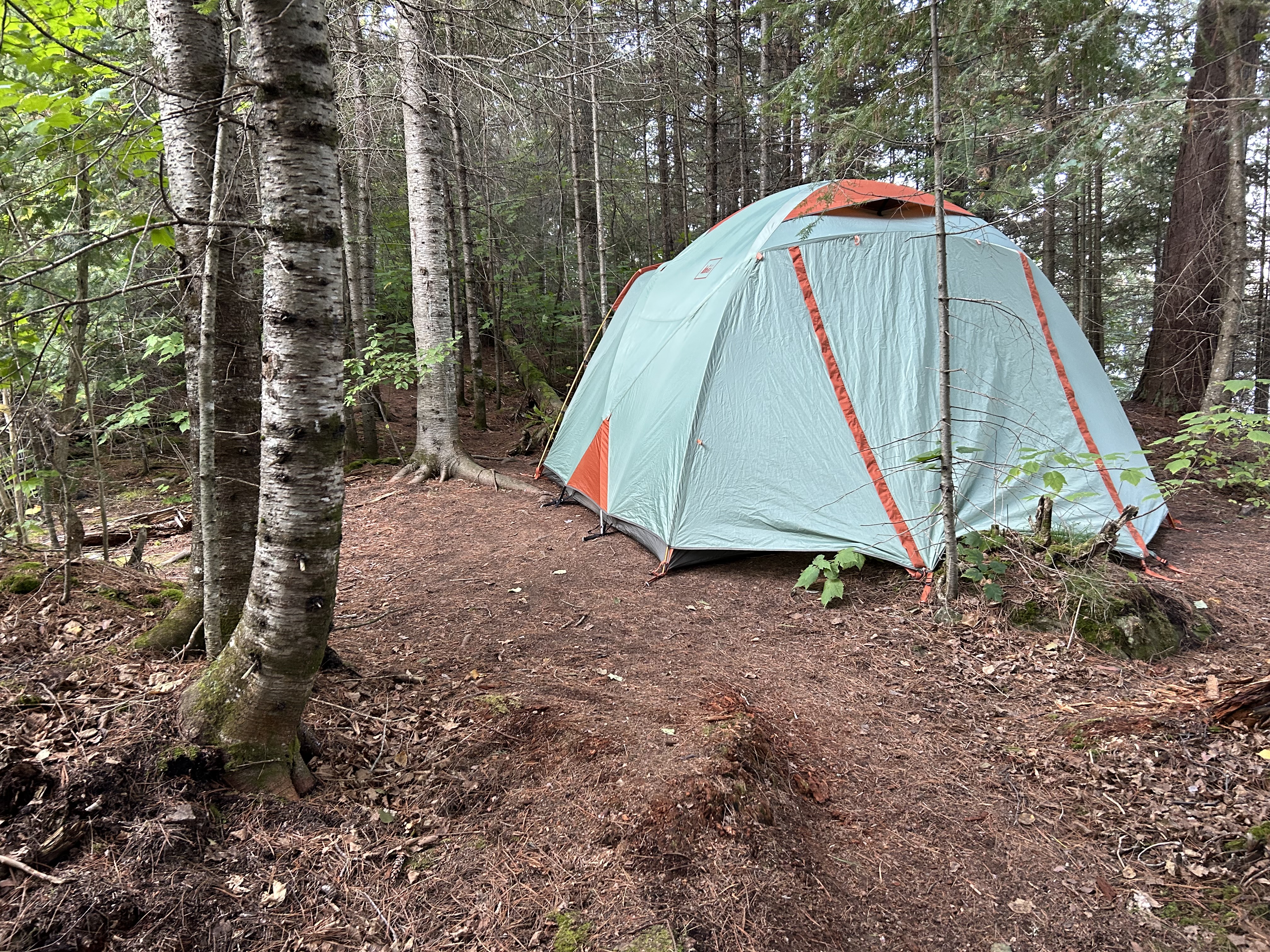 Campsite 649