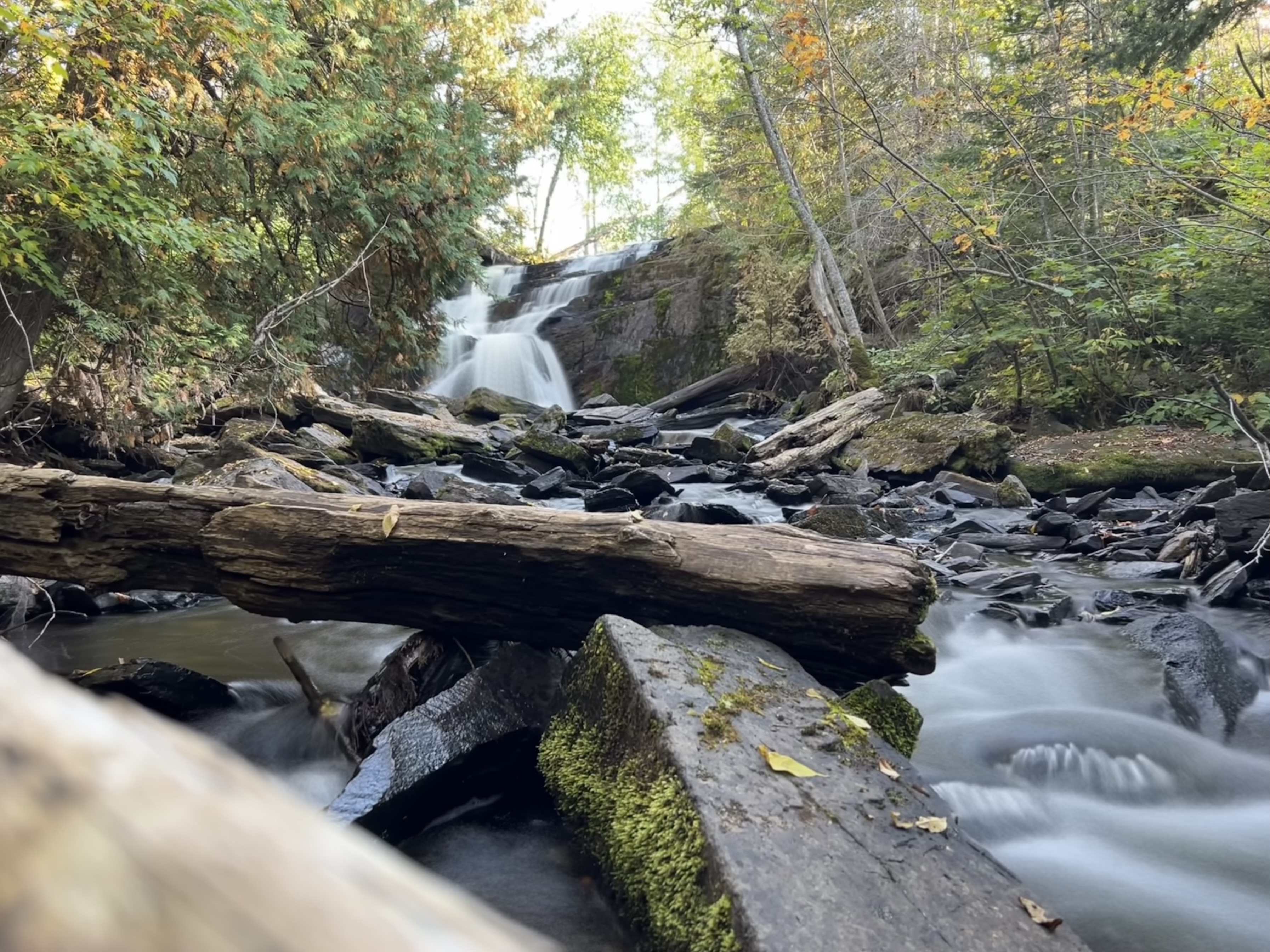 Portage 479