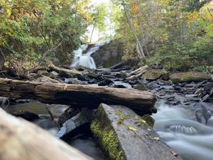 Portage 479