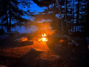 Campsite 1203
