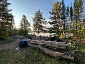 Campsite 1203