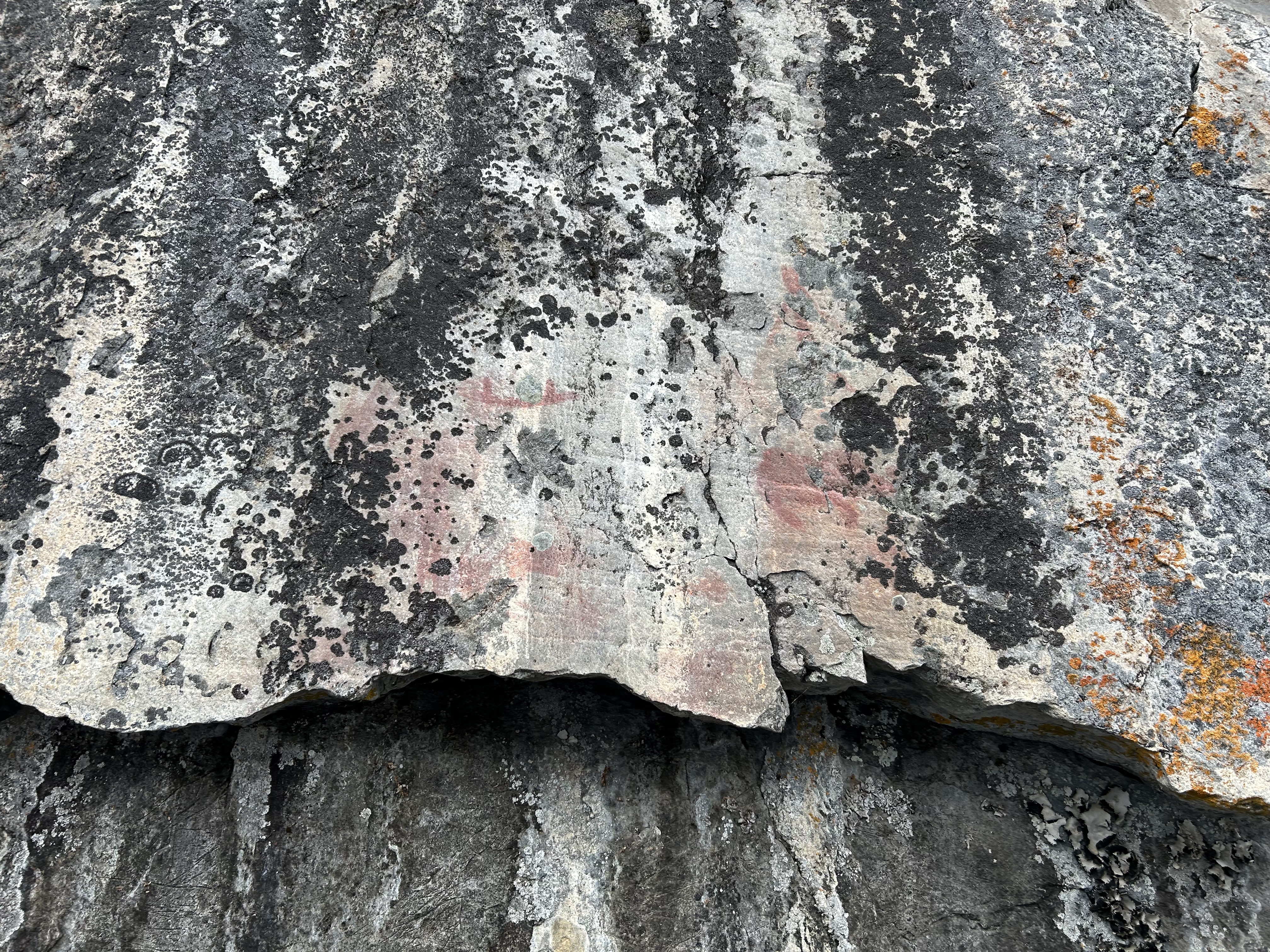 Fishdance Pictographs