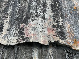 Fishdance Pictographs