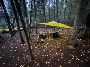 1505