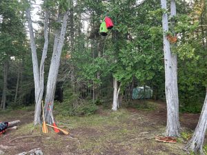 Campsite 890