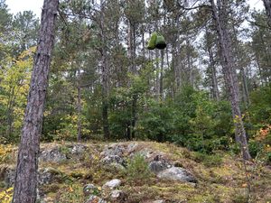 Campsite 182