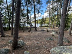 Campsite 287