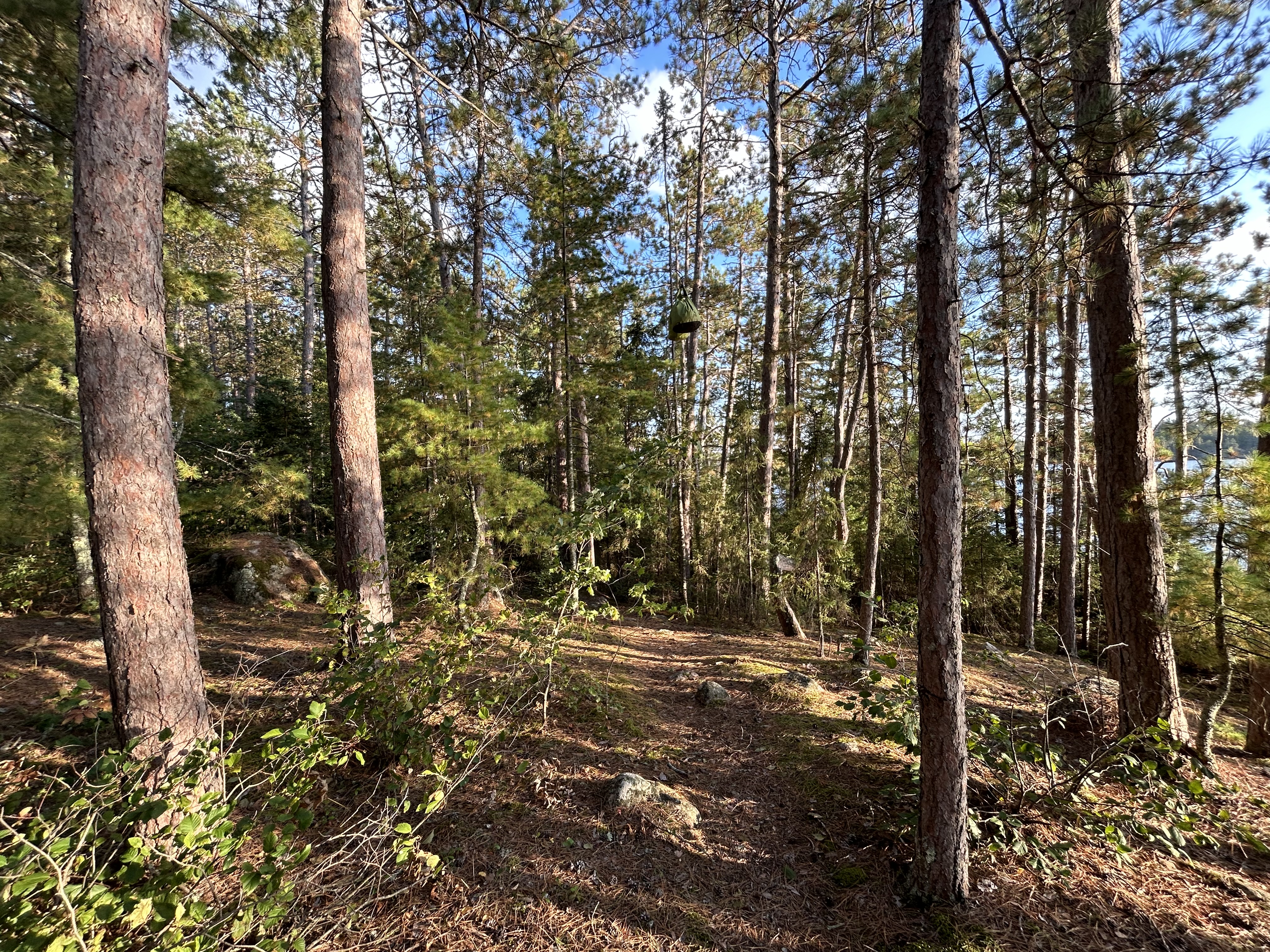 Campsite 287