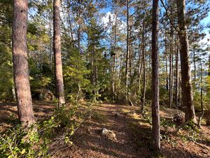 Campsite 287