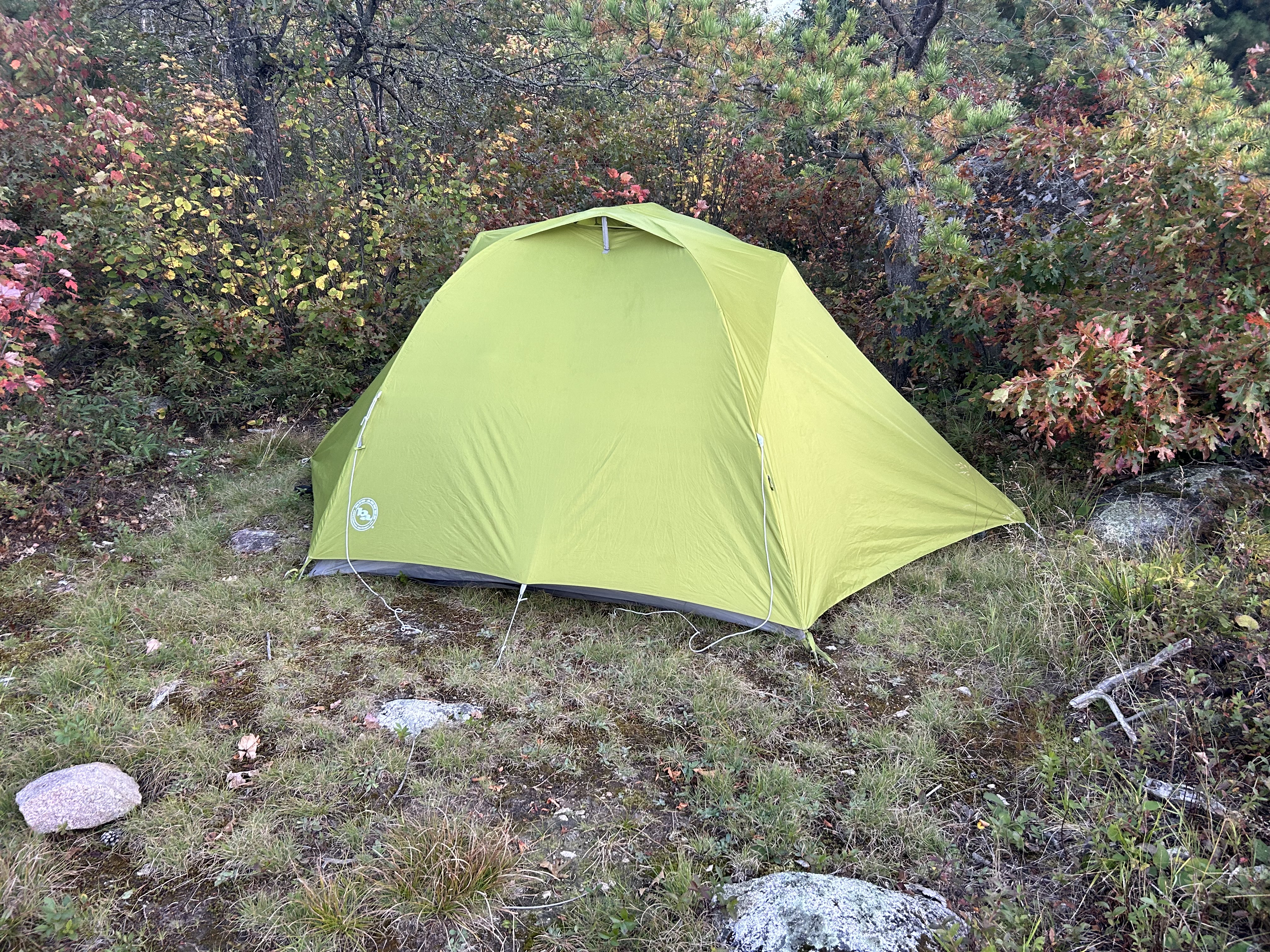 Campsite 195