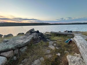 Campsite 195