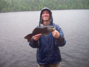 Bass