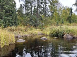 Portage 262