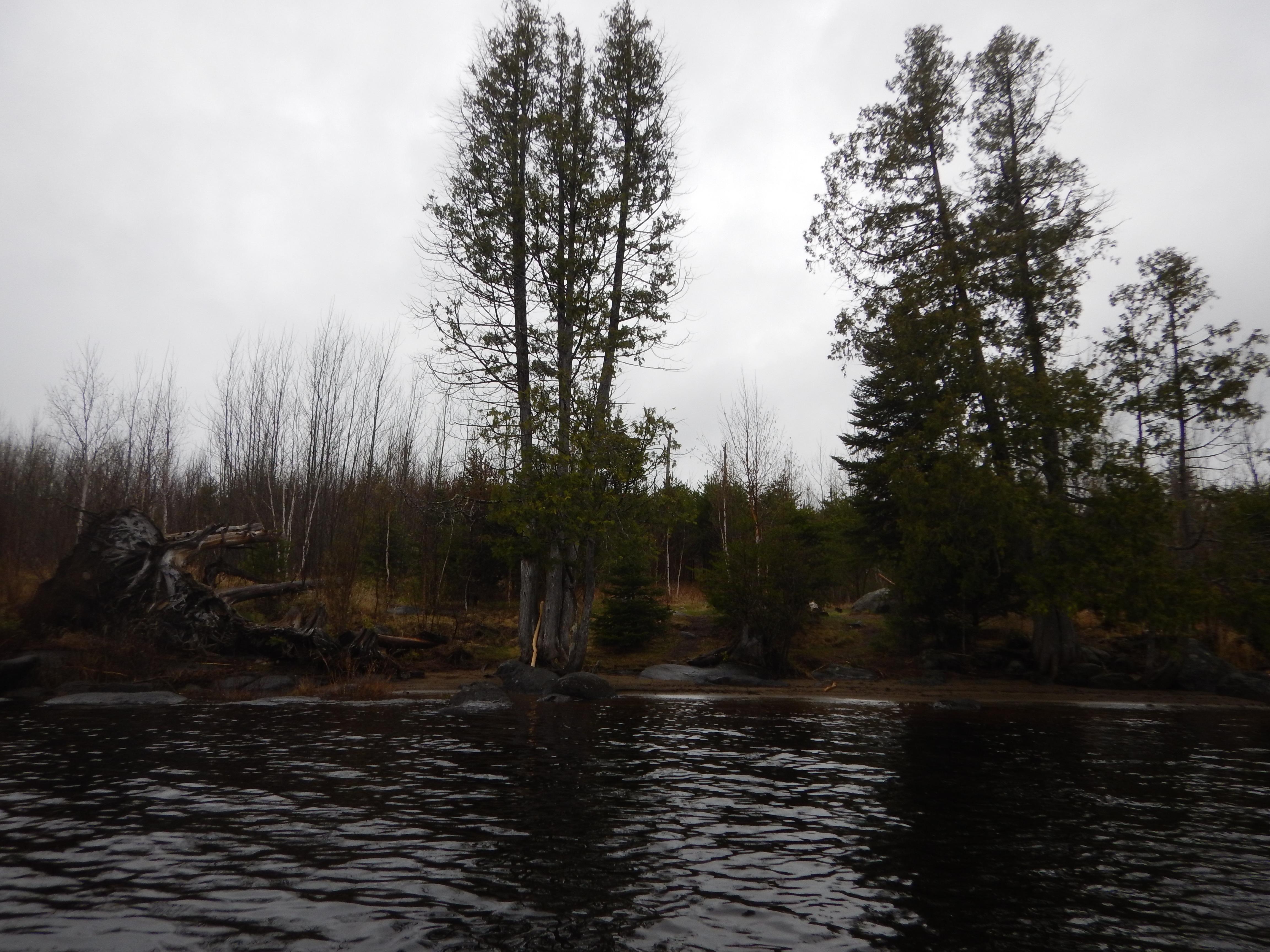 Isabella Lake campsite #1924