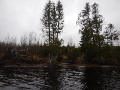 Isabella Lake campsite #1924