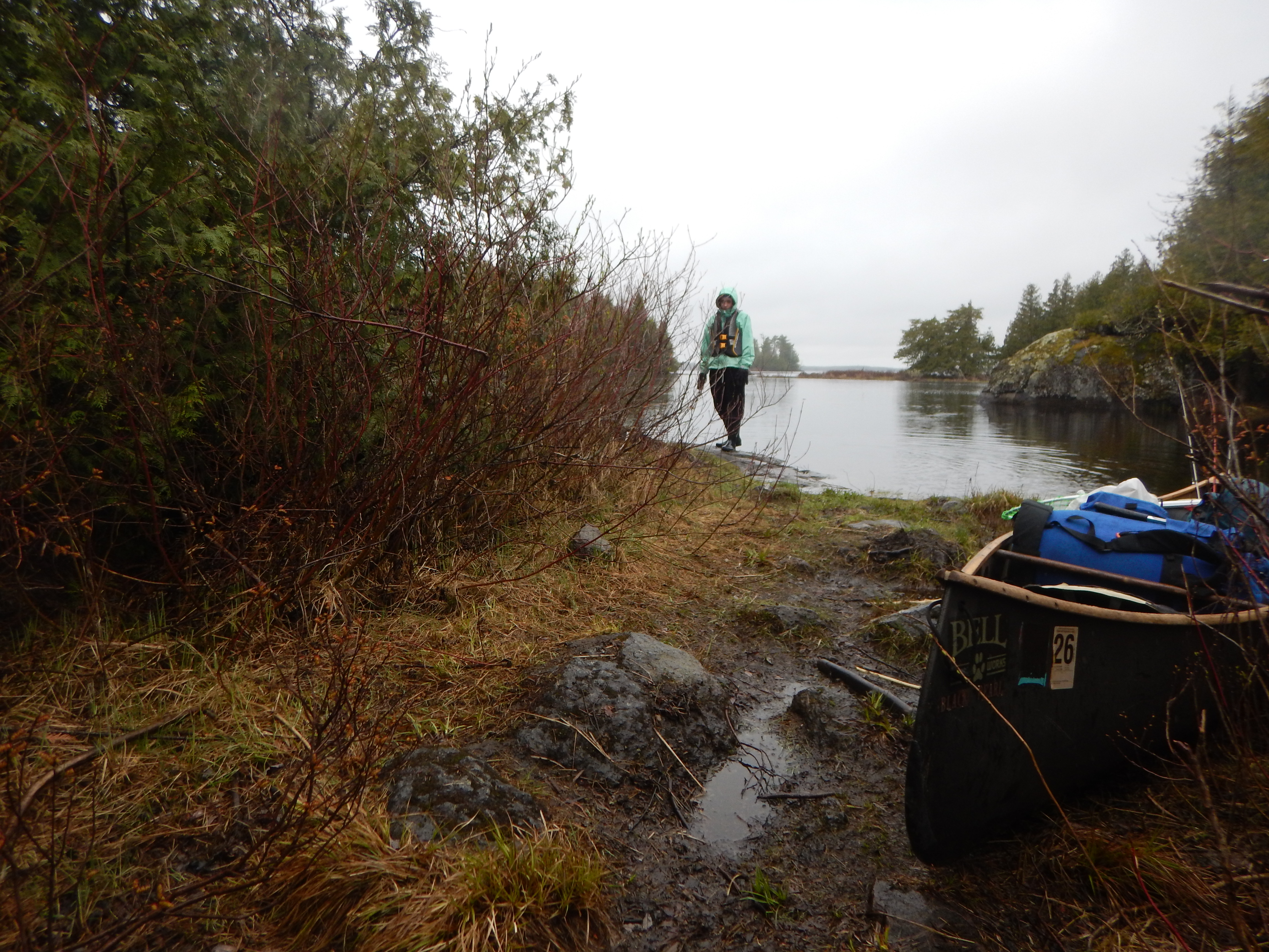 Azure portage